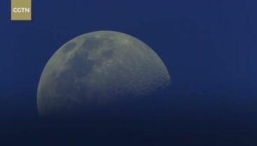 Фільм “Китай – батьківщина диких тварин” запрошує Вас насолодитися біорізноманіттям