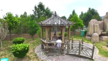 Сі Цзіньпін наголосив на необхідності систематичної охорони нематеріальної культурної спадщини