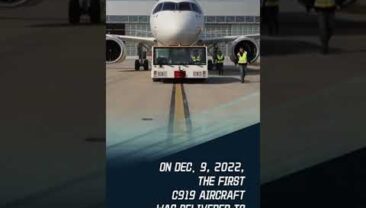 Зелені крила