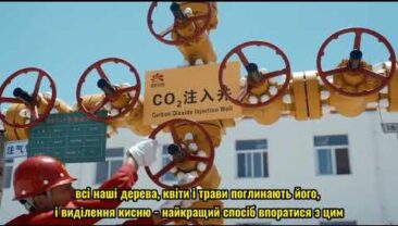 Діти можуть зрозуміти, що таке «вловлювання вуглецю»