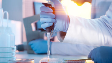 Китайські вчені першими у світі закінчили секвенування геному домашньої курки