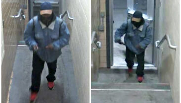 Троє людей загинули, ще п’ятеро отримали поранення внаслідок стрілянини в університеті штату Мічиган