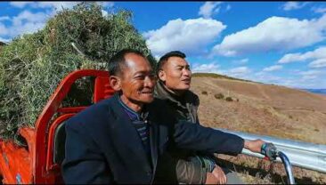 Складання графіка десятиліття