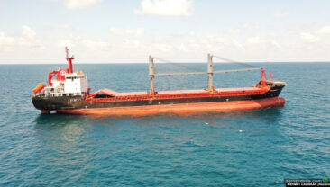 Експорт зерна у лютому перевищив показник лютого 2022 р.