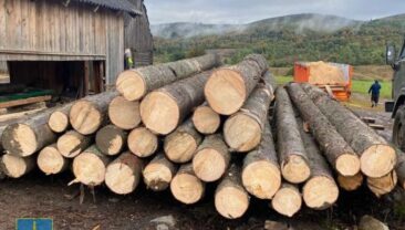На Львівщині судитимуть учасників групи, яка через незаконне вирубування завдала збитків майже на 4 млн грн