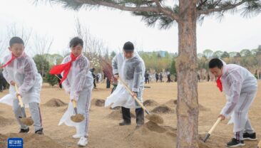Сі Цзіньпін взяв участь у заході з посадки дерев у Пекіні