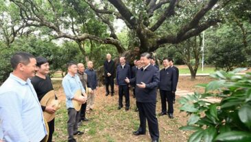 Сі Цзіньпін проінспектував південне китайське місто Маомін