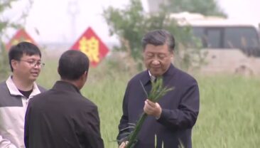 Сі Цзіньпін відвідав з інспекцією місто Цанчжоу на півночі Китаю