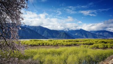 У 2022 році в Тибеті спостерігалася стабільно сприятлива екологічна ситуація