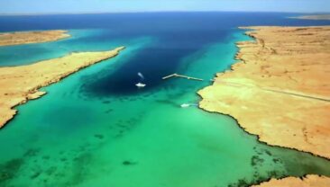 Еритрея готова старанно працювати з Китаєм над створенням нового світового порядку