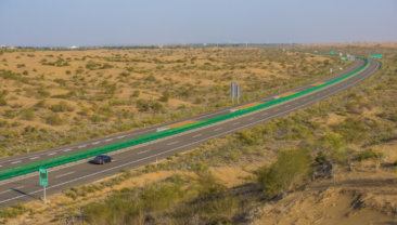 Зелена картина серед моря піску