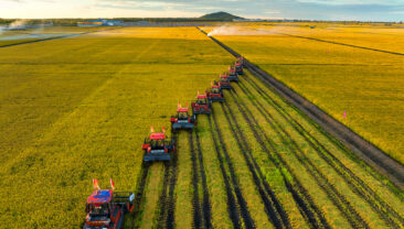 Сі Цзіньпін закликав посилити охорону орних земель та розширити простір для сільськогосподарського виробництва