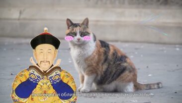 Молоді люди, які зробили Заборонене місто “Інтернет-знаменитістю”