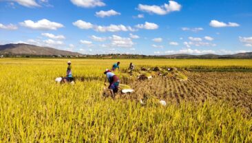 Сіяти зерна надії