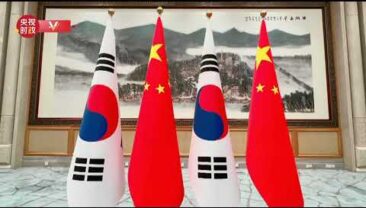 Сі Цзіньпін зустрівся з прем’єр-міністром Республіки Корея Хан Док Су