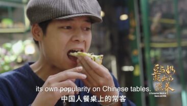 Харчування з бобів і молока