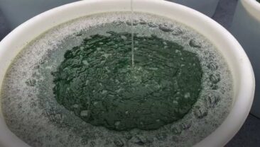 Китайська медицина в овочевій теплиці