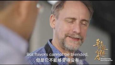 Насолодіться світовим мистецтвом на Китайському міжнародному імпортному ЕКСПО