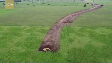 Поїзд, що йде по пампасах