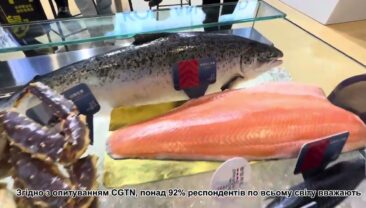 45-та річниця політики реформ та відкритості: закордонні товари, які потрапили до Китаю завдяки весняному вітерцю реформ