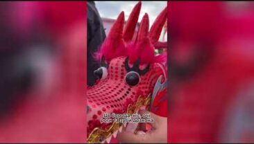 Нематеріальна культурна спадщина——танець дракона