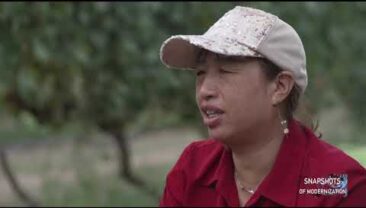 Вино з пустелі Гобі