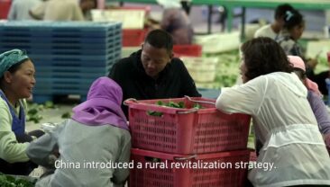 Вирощування овочів у пустелі Гобі