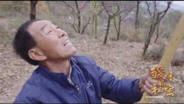 Секрет кислого смаку