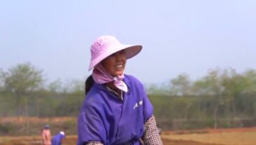 Сі Цзіньпін проінспектував цукрову промисловість на півдні Китаю