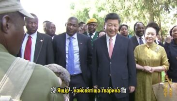 Роксі Данквертс, керівниця Бази порятунку диких тварин Зімбабве: я хочу обійняти китайську гігантську панду