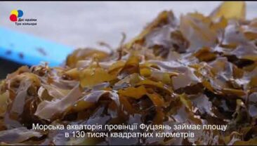 Безпілотні автомобілі: технології майбутнього стають частиною повсякденного життя