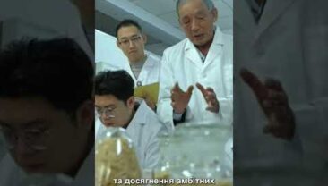 Новорічні привітання в китайській поезії