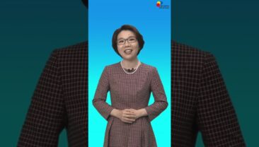 【Популярні запити китайського інтернету】 Найпопулярніші запити китайського інтернету за четвертий тиждень листопада