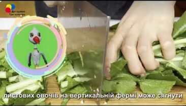 【Відвідай Китай з Тарасом】 Овочева ферма посеред міста: вертикальна ферма в Ченду