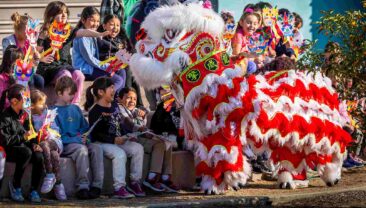 У Бразилії та Нідерландах відбулися святкові заходи з нагоди китайського свята Весни