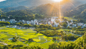 У Китаї визначили пріоритети реформ для сільської місцевості у 2025 році