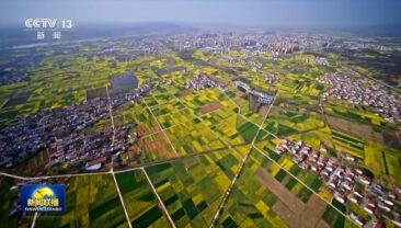 Китай докладає зусиль для створення диверсифікованої системи продовольчого постачання