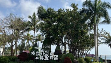 Спільне здорове майбутнє для всіх