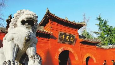 Сі Цзіньпін ознайомився із зусиллями з просування високоякісного розвитку індустрії культурного туризму в провінції Хенань