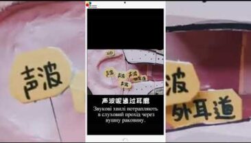 Платформи коротких відео перетворюють на лекційні зали з популяризації науки