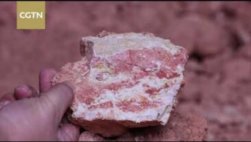 Їхні мрії збуваються: «Нове життя пурпурової кераміки»