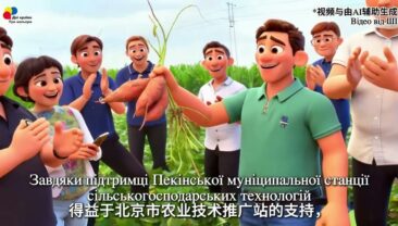 Батат – “господар дому”, сільські райони виходять на барвистий шлях розвитку