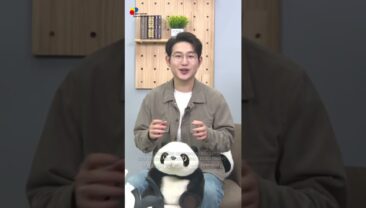 Мій 2025 рік：Китай, що стає дедалі відкритішим