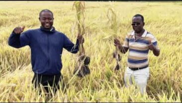 Ініціатива глобального управління накреслює краще майбутнє для мінливого світу