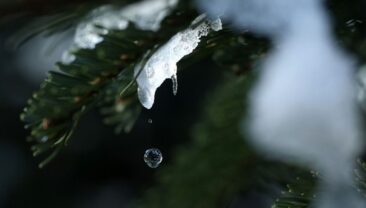 Прогноз погоди в Україні на 10-12 лютого