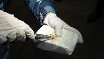 Розкриття кримінальної мережі контрабандистів кокаїну в Європі