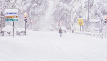 Кліматичні аномалії: Екстремальний холод в Європі та рекордна спека в Південному півкулі