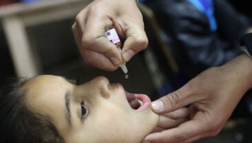 Предварительная квалификация новой вакцины nOPV2 от полиомиелита