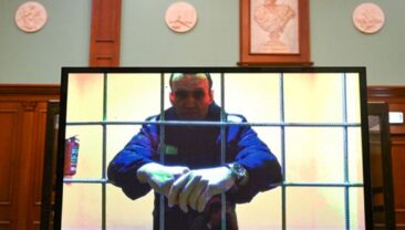 В образцах тканей Навального виявили смертельний токсин з південноамериканської жаби