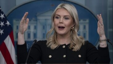 Левитт: Трамп – президент миру, активно працює над завершенням війни в Україні